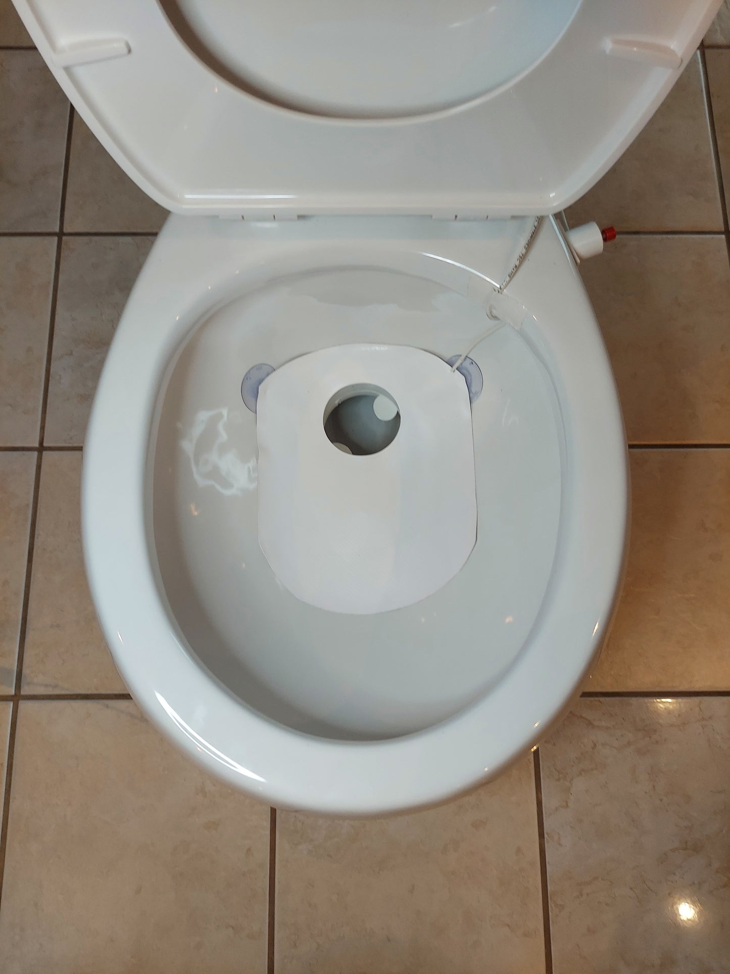 Prevent-a-Clog (tm)